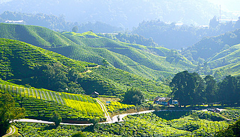 如何解決導電PC注塑件熔接痕問題？